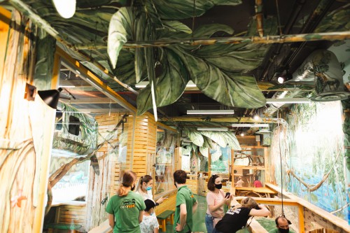 Attractions - Photo 108