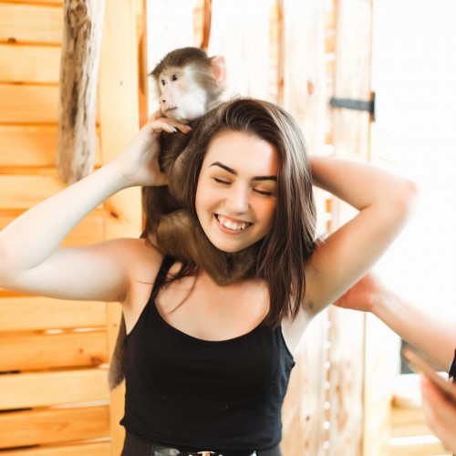 Attractions - Photo 109