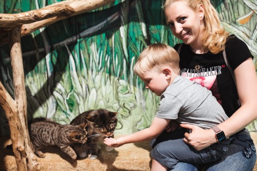 Attractions - Photo 110