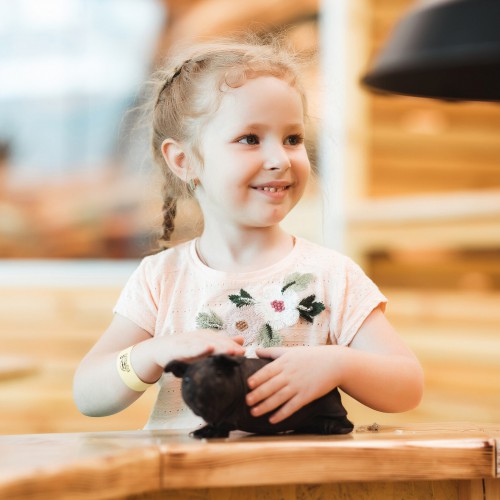 Attractions - Photo 106