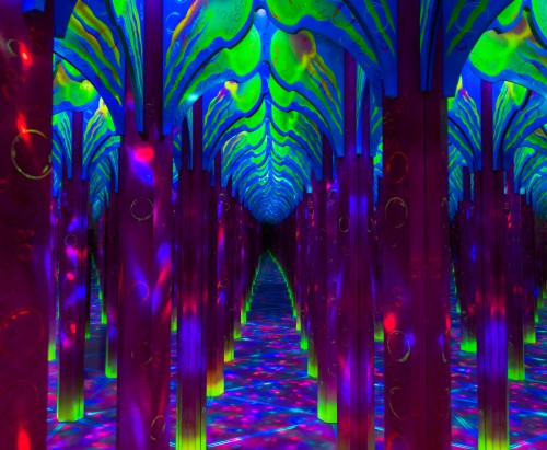 Mirror maze - Photo 7