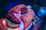 Атракціон-музей “Всередині людини” | GALAXY - Фото 18 Атракціон-музей “Всередині людини” - Фото 18
